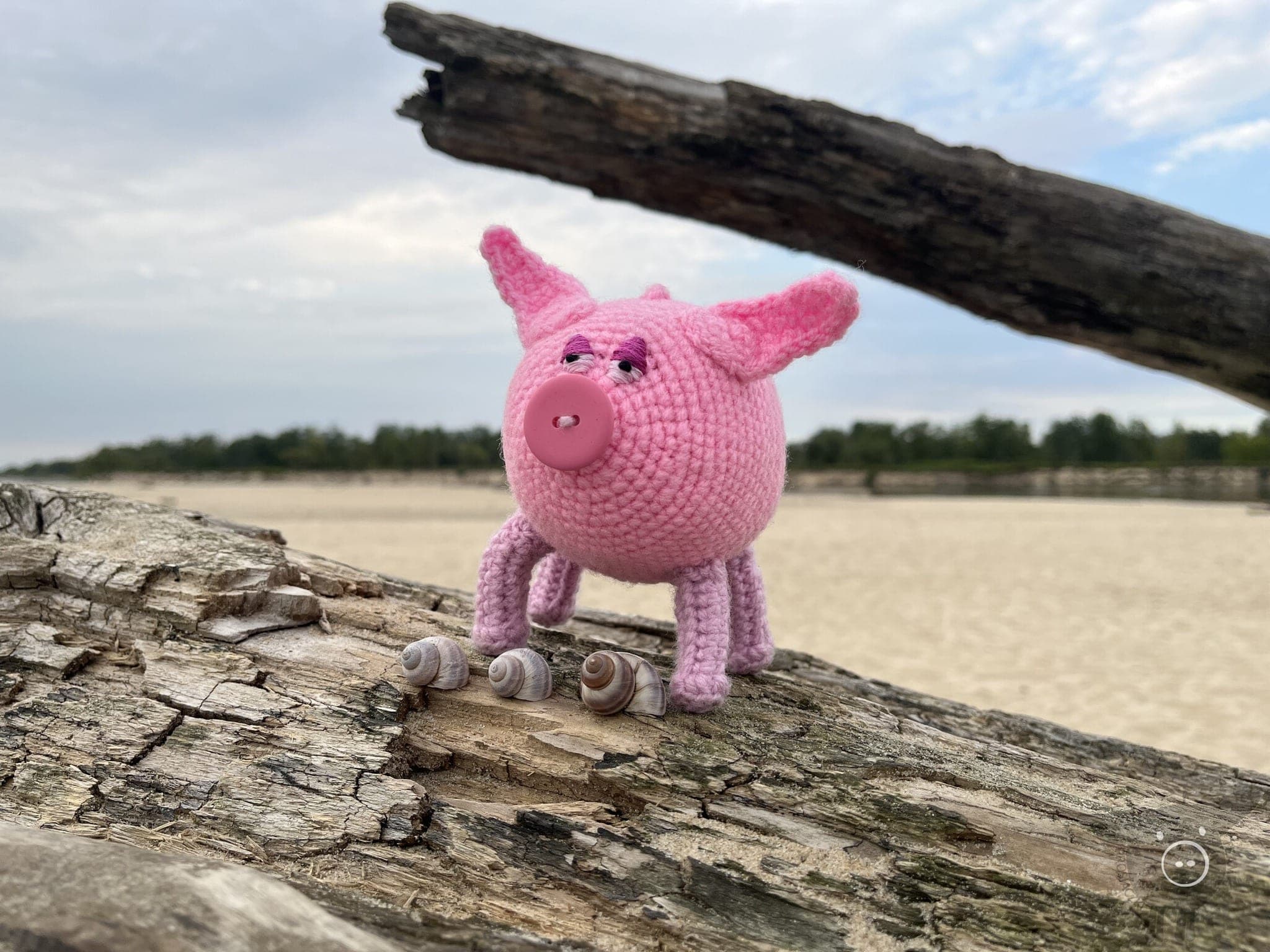 Piglets DDeep Forest — zdjęcie 11